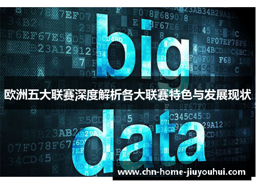 欧洲五大联赛深度解析各大联赛特色与发展现状