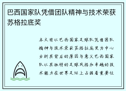巴西国家队凭借团队精神与技术荣获苏格拉底奖 巴西国家队凭借团队精神与技术荣获苏格拉底奖