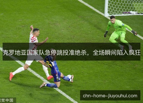 克罗地亚国家队急停跳投准绝杀，全场瞬间陷入疯狂